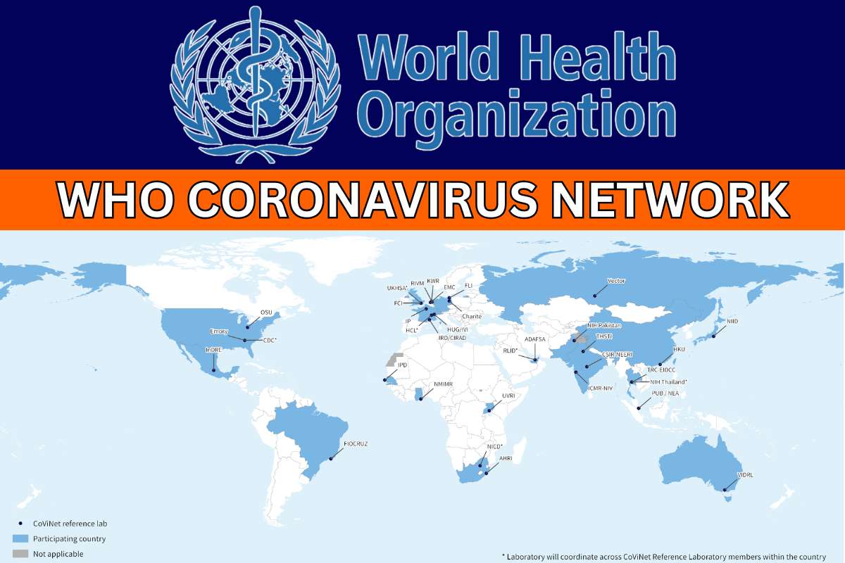 WHO Coronavirus Network